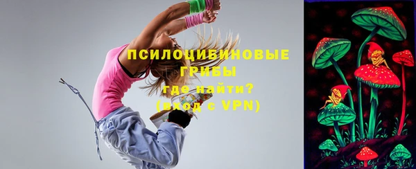 шишки Краснослободск