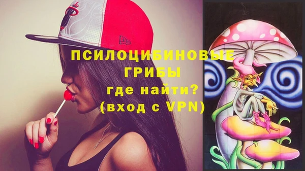 прущие грибы Пенза