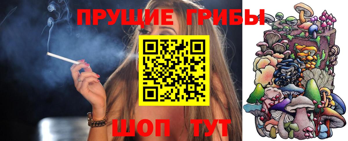 Галлюциногенные грибы Psilocybe  Вход с VPN  Сатка  Галлюциногенные грибы мицелий 