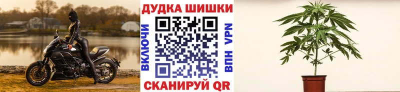 МАРИХУАНА Bruce Banner  цены   ОМГ ОМГ вход  Сатка 
